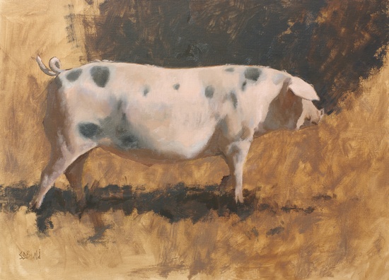 Oil painting of a Gloucestershire Old Spot pig at Ayrshire Farm in Upperville, VA.